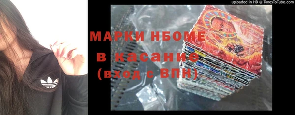 сатива Каменногорск