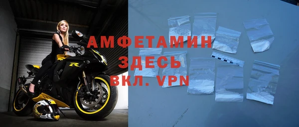 сатива Каменногорск