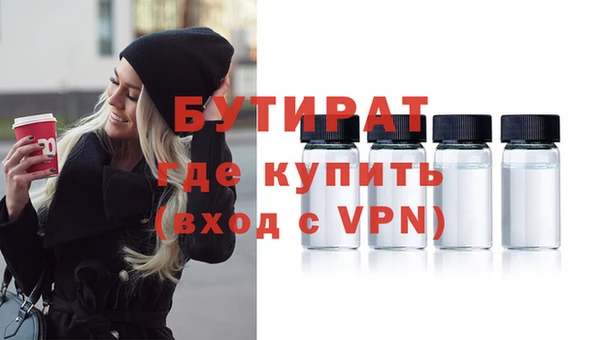 сатива Каменногорск