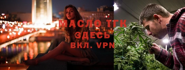 сатива Каменногорск