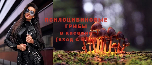 mdpv Каменск-Шахтинский