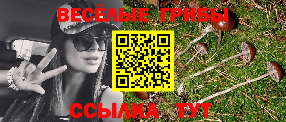 Иваново  Псилоцибиновые грибы Psilocybine cubensis  Вход с VPN 