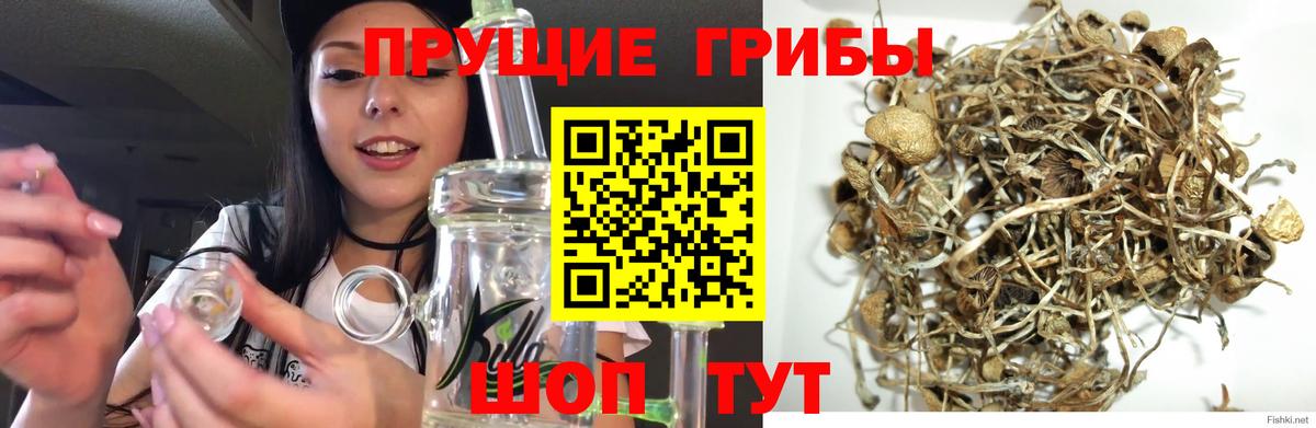 Псилоцибиновые грибы мухоморы Иваново